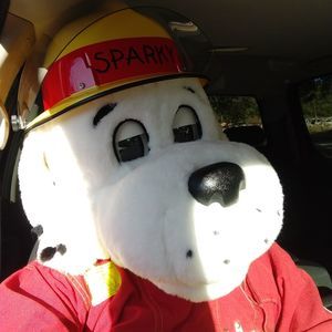 Meet your Posher, Thomas